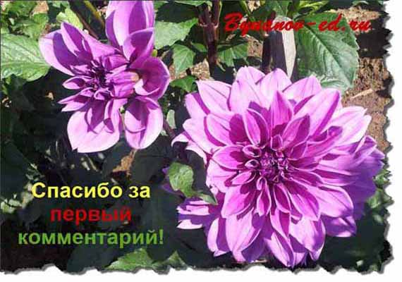 Спасибо за комментарий