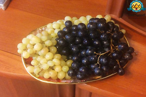 разные виды плодов винной ягоды