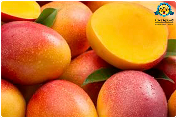 фрукт манго