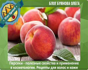 плод персика