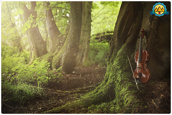 музыка леса