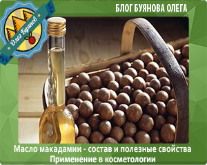 орехи и масло макадамии