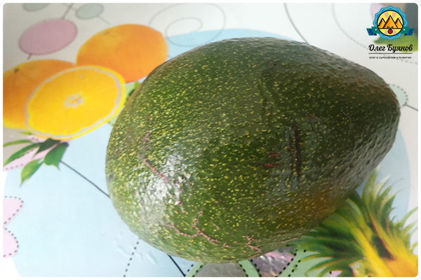 плод авокадо