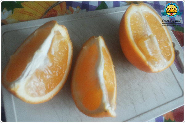 дольки апельсина
