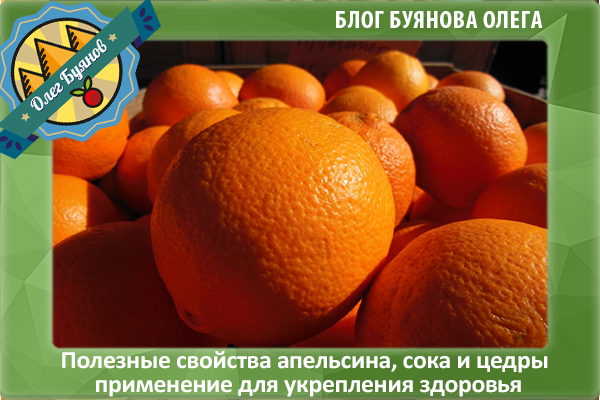 плоды апельсина